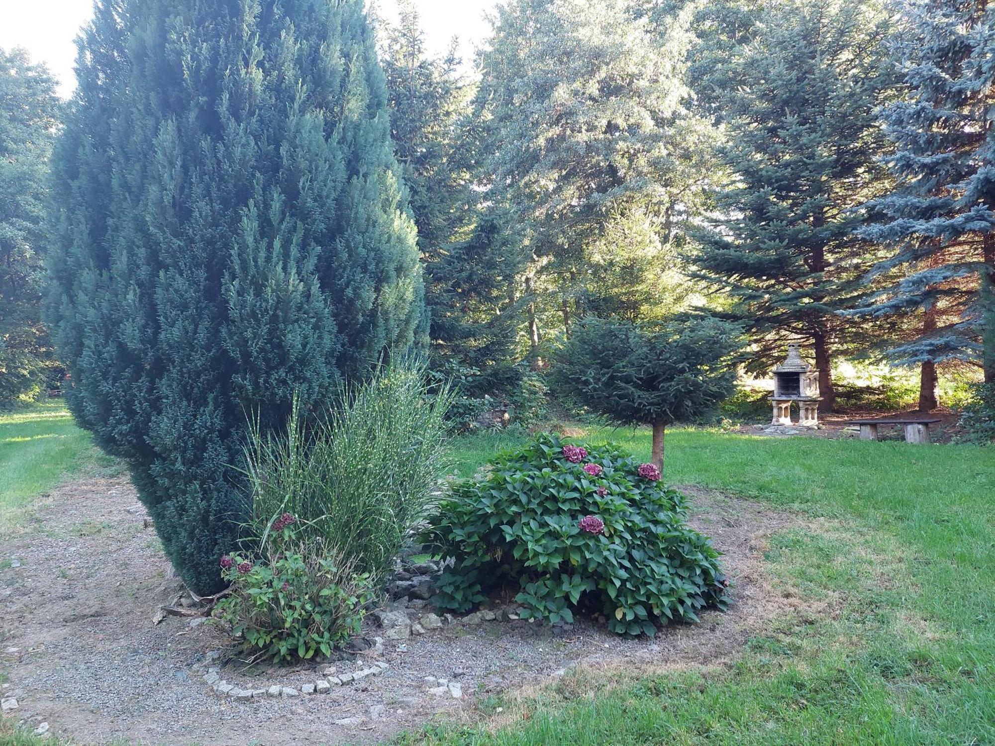 Apartament 59 , Ranczoturystyka Bielawa Sudety エクステリア 写真