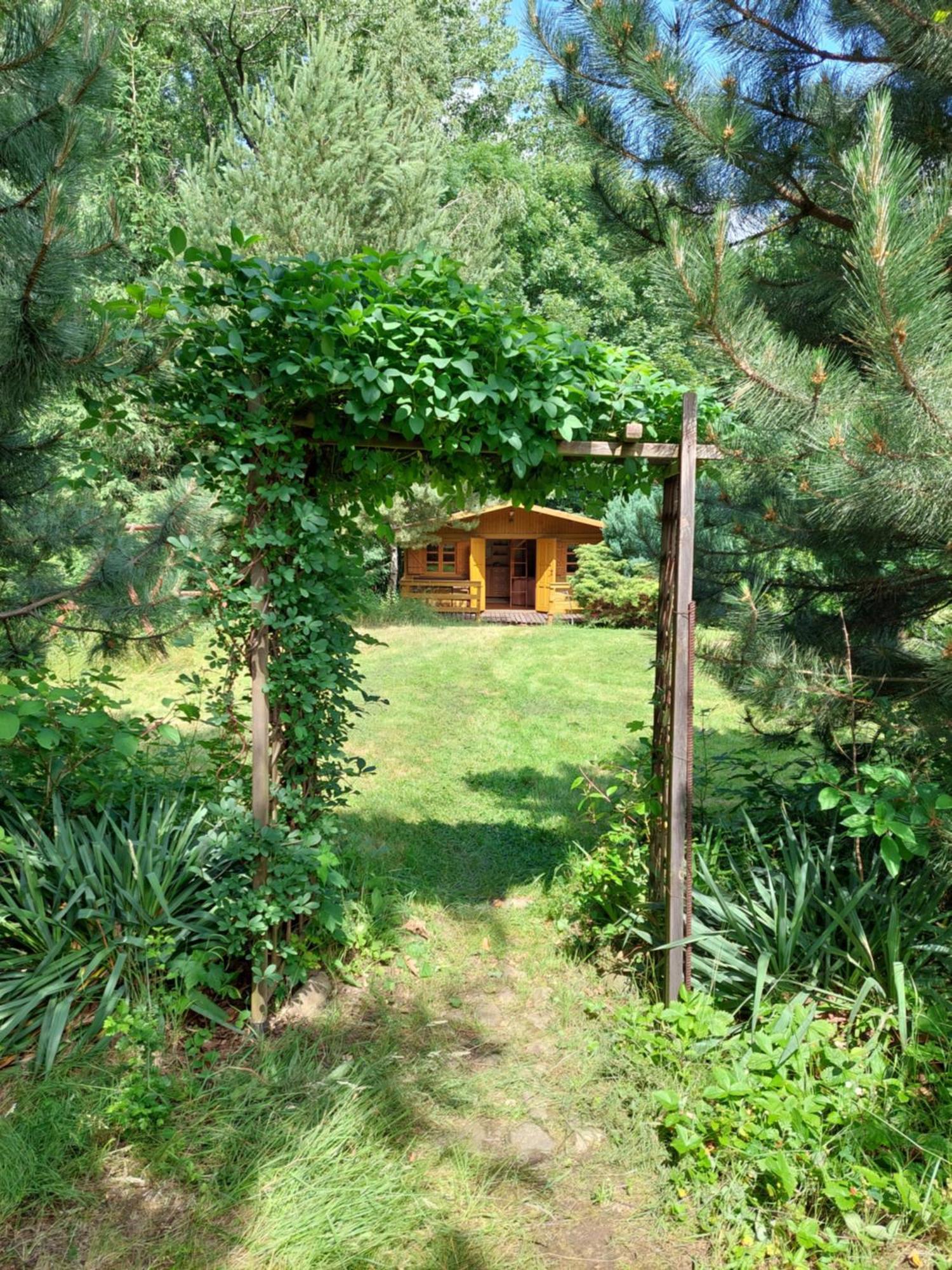 Apartament 59 , Ranczoturystyka Bielawa Sudety エクステリア 写真